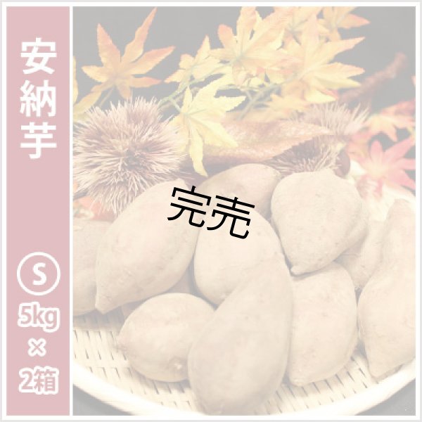 画像1: 安納芋　Sサイズ(2箱セット)<br><span class="red">【今シーズンの受付は終了いたしました】</span><br /> (1)