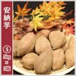 画像1: 安納芋　Sサイズ(3箱セット)   【2024年度のご予約スタート！お届けは12月初旬予定！】    (1)