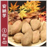 画像: 安納芋　Sサイズ(4箱セット)   【2025年度のご予約受付中】  
