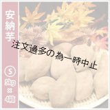 画像: 安納芋　Sサイズ(4箱セット)   【2025年度のご予約受付中】  