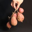 画像2: 安納つるし芋(3kg)【3箱セット】  【準備中です】   (2)