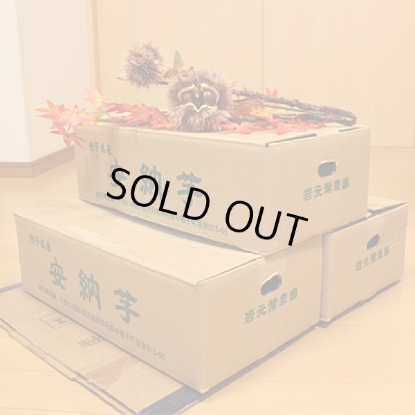 画像6: 安納つるし芋(3kg)【3箱セット】<br><span class="red">【準備中です】</span><br /> (6)