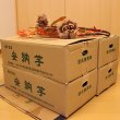 画像6: 安納つるし芋(3kg)【4箱セット】 <br><span class="red">【準備中です】</span><br /> (6)