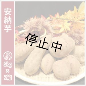 画像: 訳あり安納芋(2箱セット)  【選別後 収穫量を見て販売可能か判断いたします】  